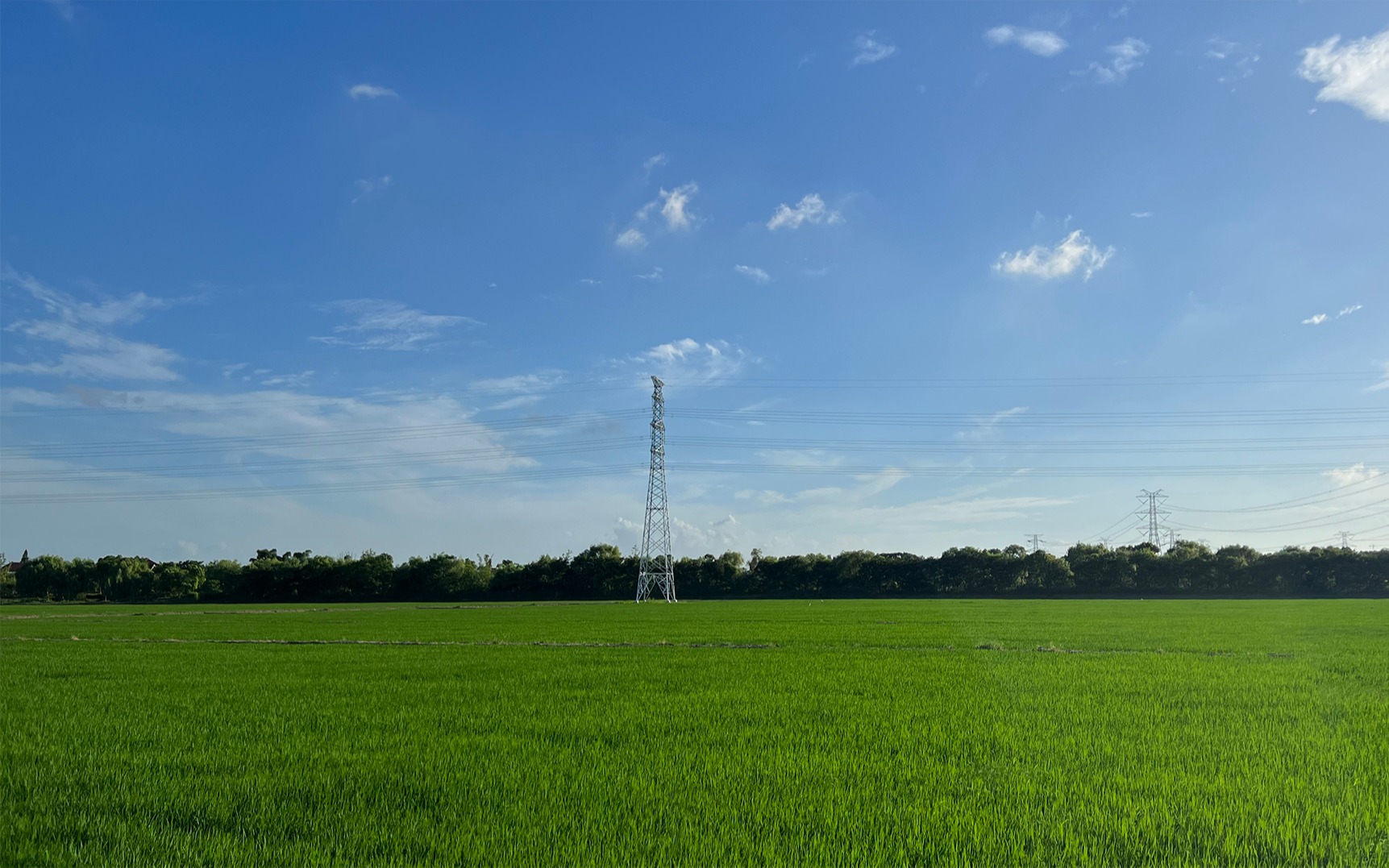 浙江水稻高标准农田示范项目