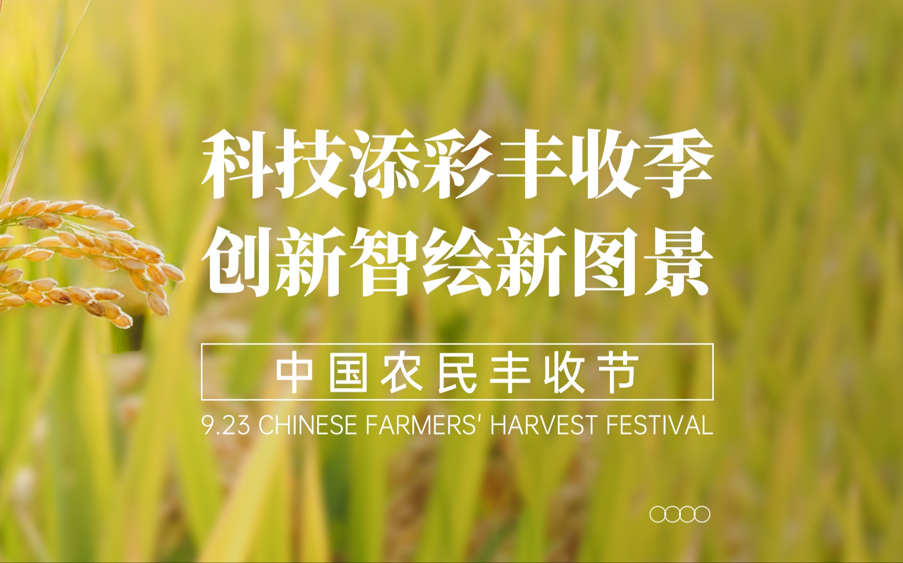科技添彩丰收季，创新智绘新图景！